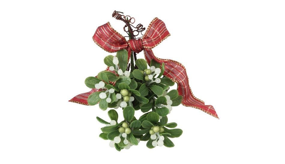 photo plant branches and checkered ribbon