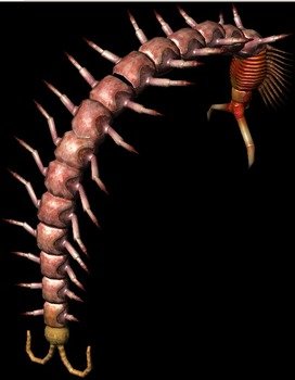 Bestiary Centipede Full
