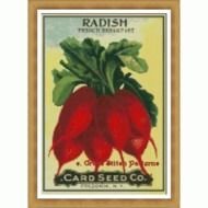 Seed Packets
