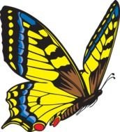 Butterfly Clip Art N202