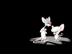 animated rats