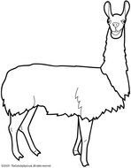 Llama Coloring Pages N5