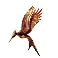 Catching Fire Logo