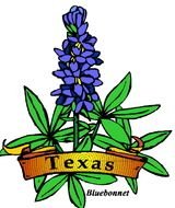 Texas Bluebonnet State Flower Stamp