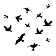 Bird Icon drawing