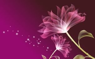 Pink Flower Desktop N2