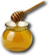 Free Honey Clip Art N2