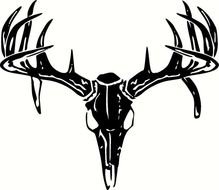 Deer Skull Window Decals