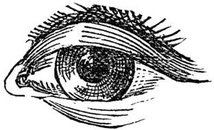 cute Eye drawing