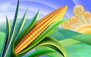 Cartoon Corn Clip Art drawing