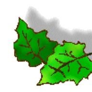 Green Leaf Clip Art N58