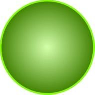 Bubble Gum Transparent