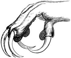 Google Image Result For Etcusfedu