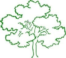 Tree Outline Clip Art N15
