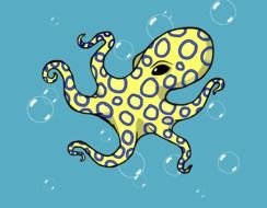 Blue Ringed Octopus
