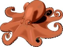 Octopus Clip Art N80