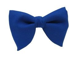 Blue Bow Tie as picture
