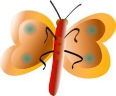 orange nice Butterfly drawing