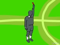 Soccer Referee Signals N2