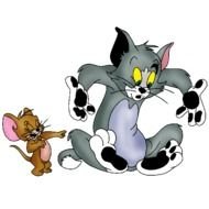 Tom And Jerry Cartoon Characters N5