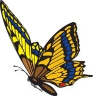 Butterfly Flying Clip Art N16