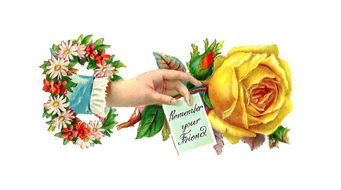 Flowers Yellow Roses drawing