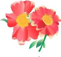 Download 7 Flower