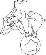 painted elephant on a ball in a circus in a coloring book