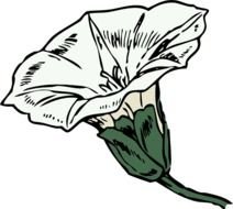 White Flower Clip Art Free