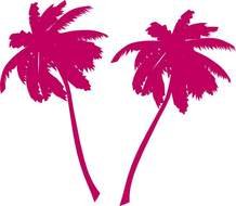 Posts Related To Pink Palm Tree Hat