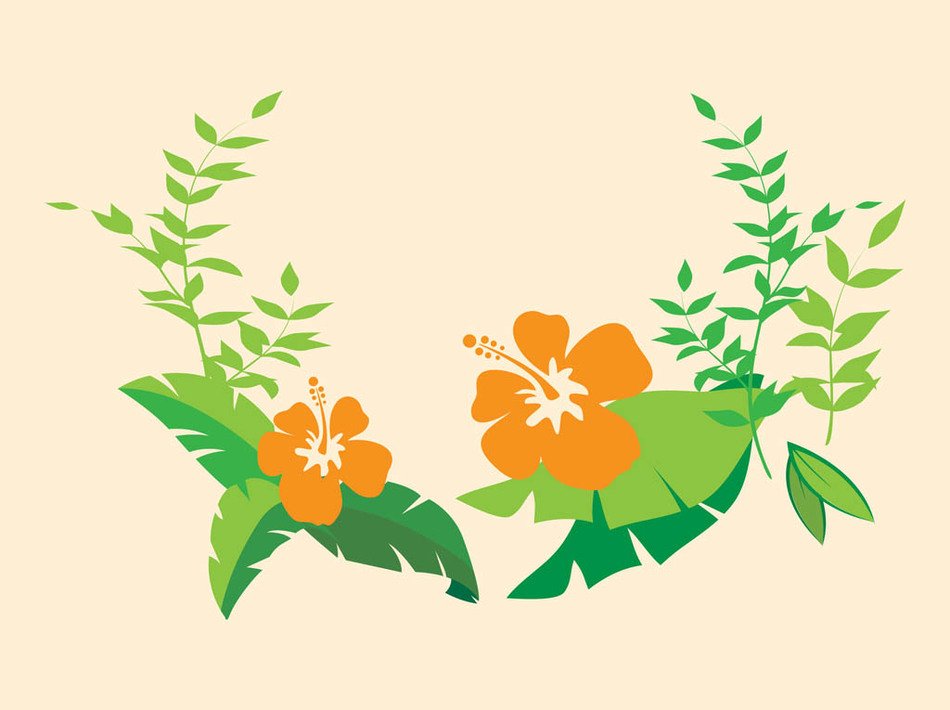 Beautiful hibiscus flowers with the green leaves clipart