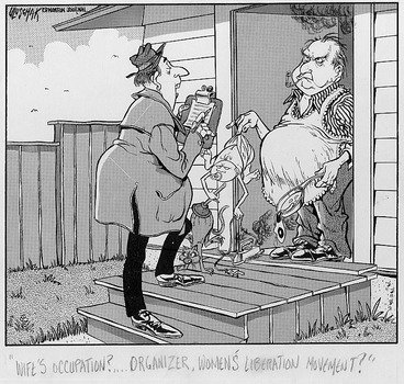 Womens Suffrage Movement Political Cartoons