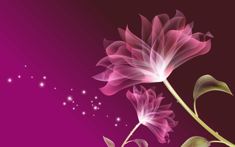 Pink Flower Desktop N2