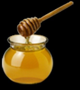 Free Honey Clip Art N2