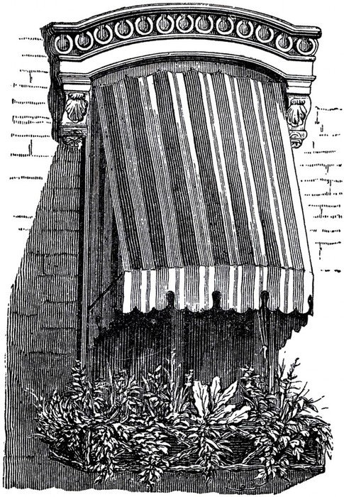 Window with canopy, vintage drawing