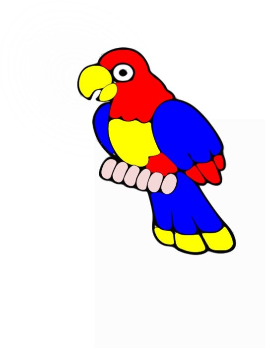 Pajaro By Jamm Vj Imagenes Sobre Colombia