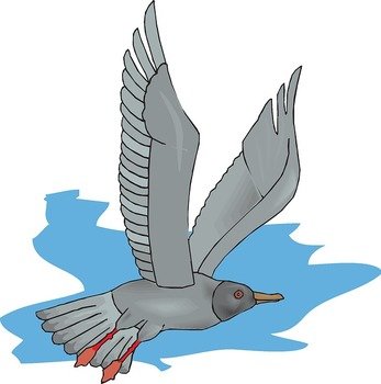 Flying Seagull Clip Art Free