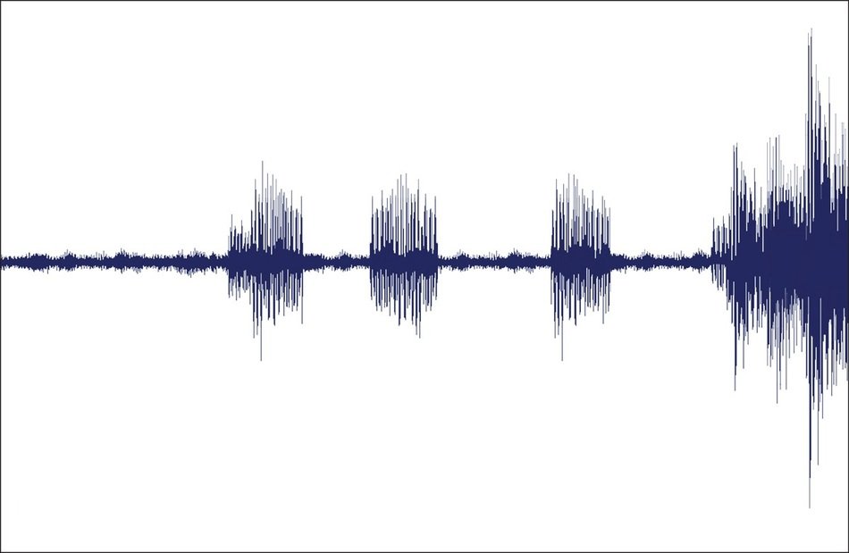 İllustration of Sound Wave Logo