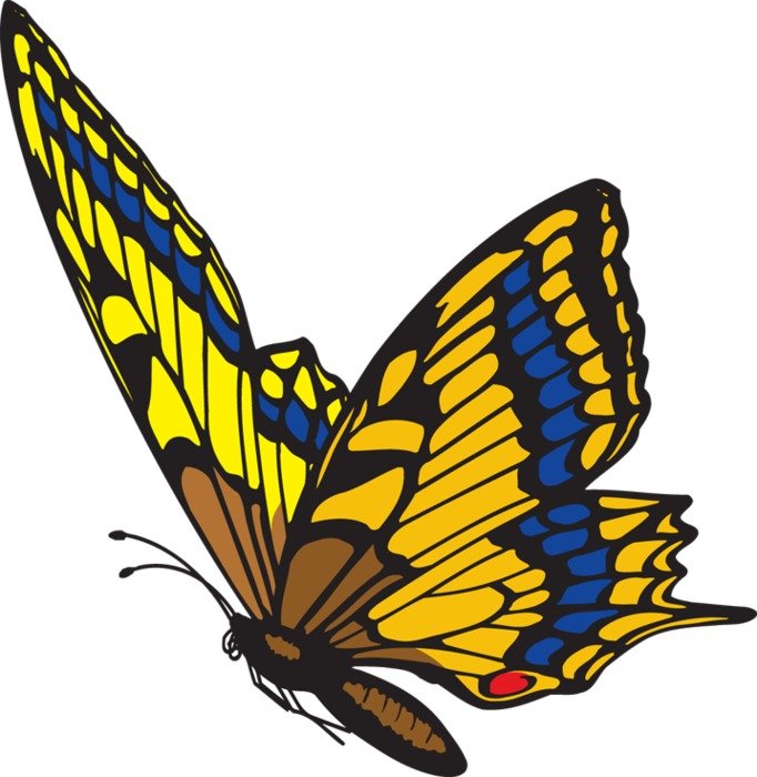Butterfly Flying Clip Art N16
