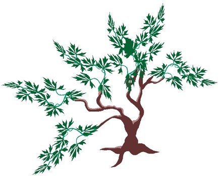 Bonsai Tree Drawings N3