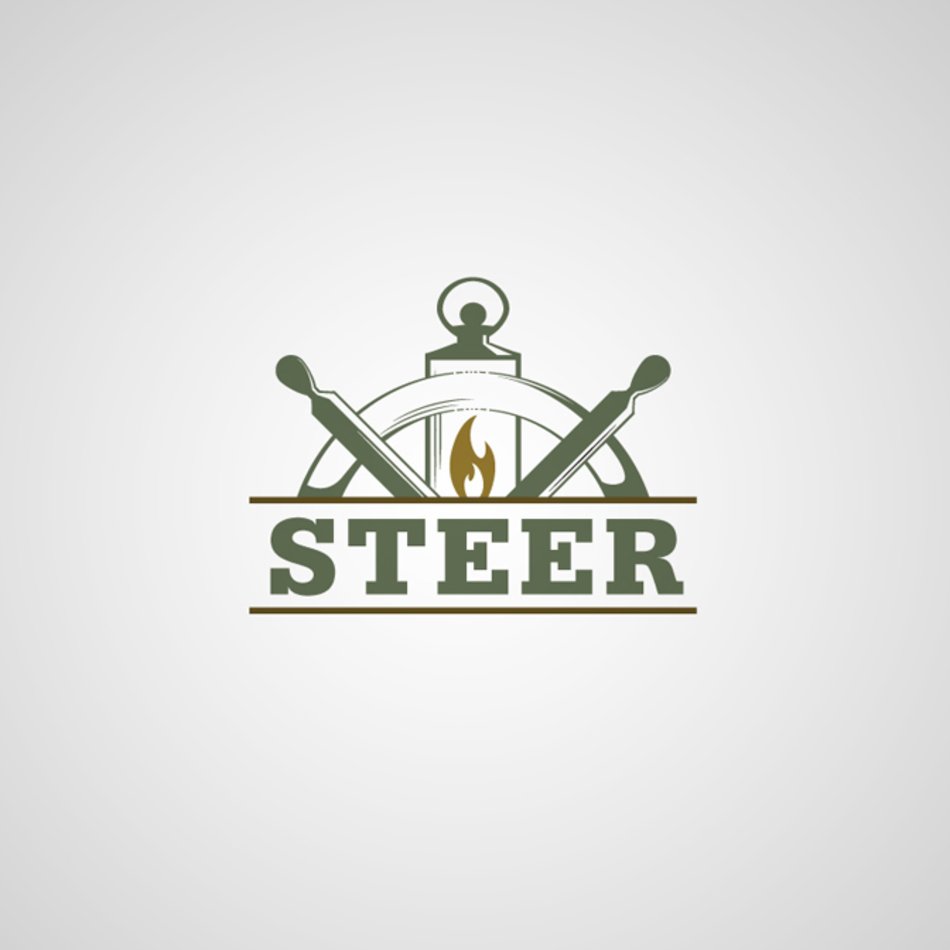 Show Steer Logo N4 free image download