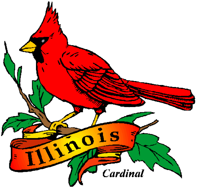 Illinois State Bird And Flower free image download