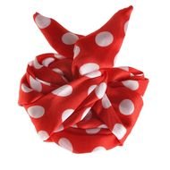 Red White Polka Dot drawing