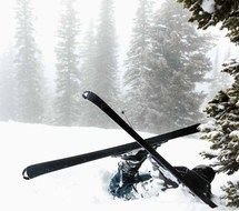 Funny ski accidents in the forest in winter