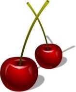 Cherries Berries