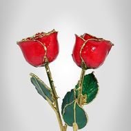 Christmas Flowers Roses Dipped In Gold Delivery San Antonio Texas
