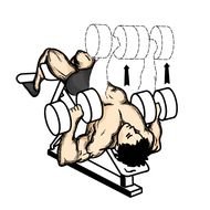 Decline Dumbbell Press middot oumlnceki Sonraki