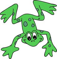 green cartoon Frog looks up