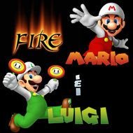 Fire Mario and Luigi game cover