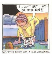 Humor Bilder e Bunnyjpg